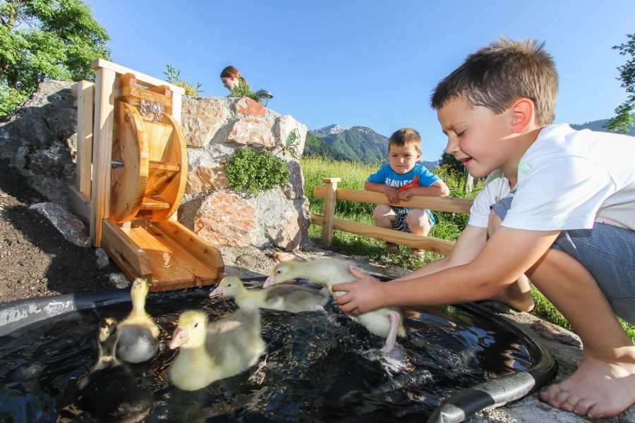 Urlaub Bauernhof Fieberbrunn